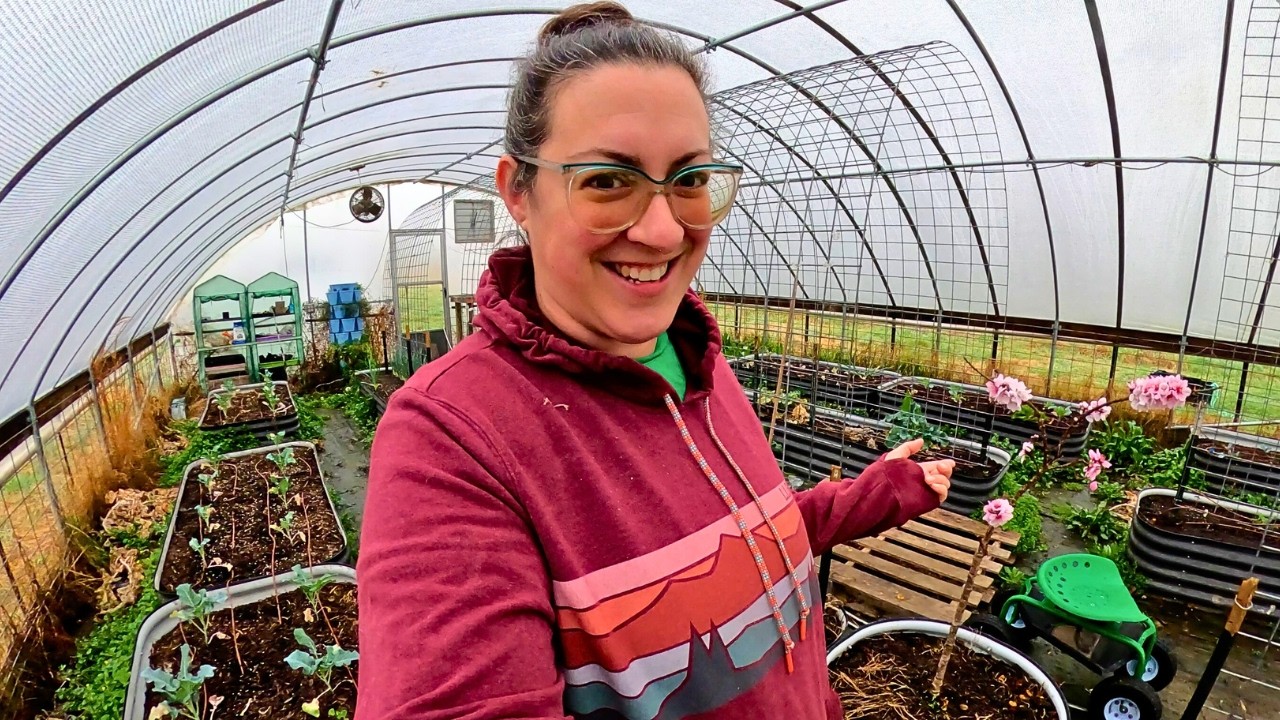 The 2026 Garden Season is Here!! March Raised Bed Garden Tour & Plan (Zone 7)