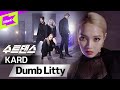 K POP 컨셉 장인 믿고 보는 신용 KARD KARD 카드 Dumb Litty 수트댄스 Suit Dance