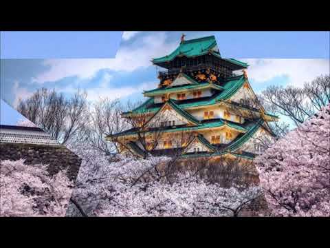 グランパ - (Guranpa) - 高橋真梨子(Takahashi Mariko)