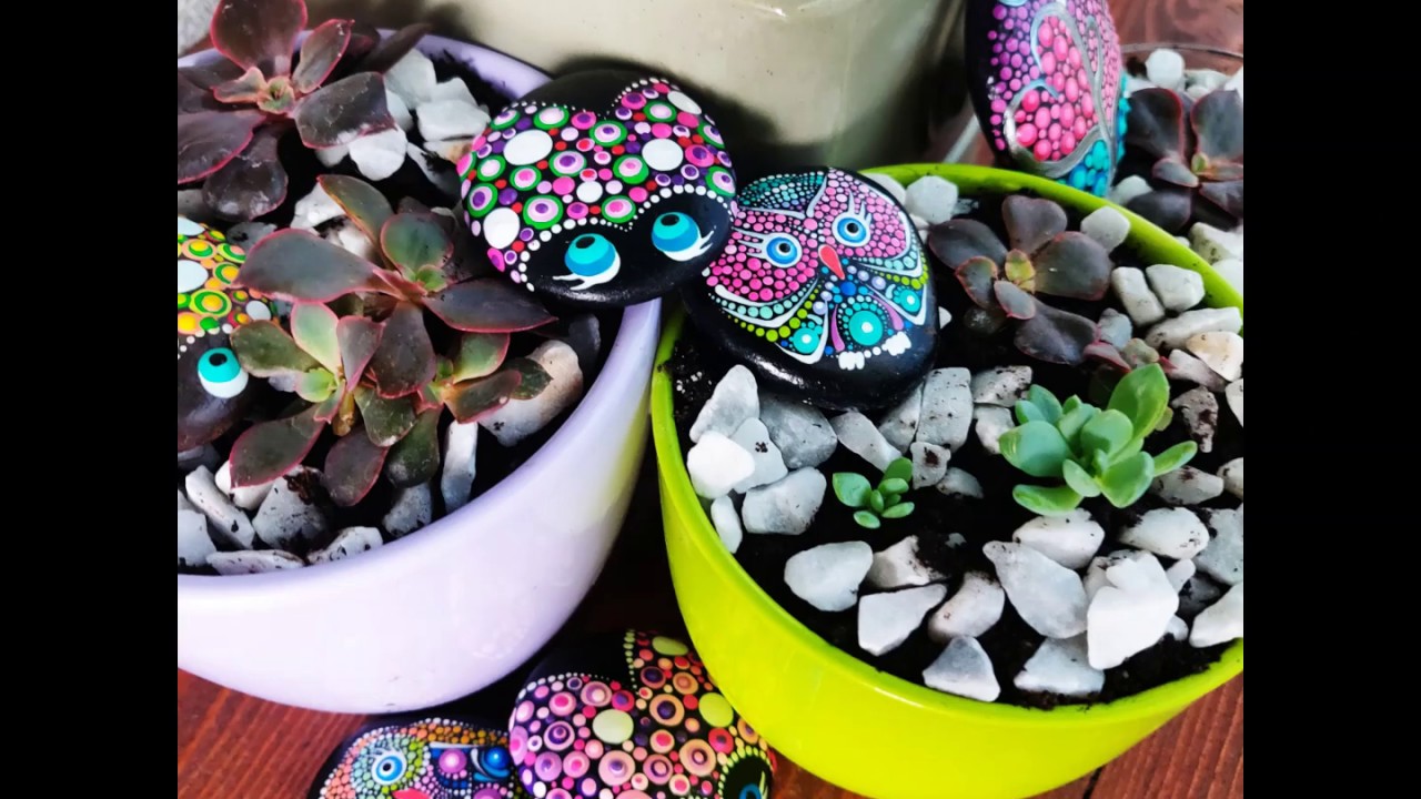 Propagating and decorating succulents with painted rocks by Create and