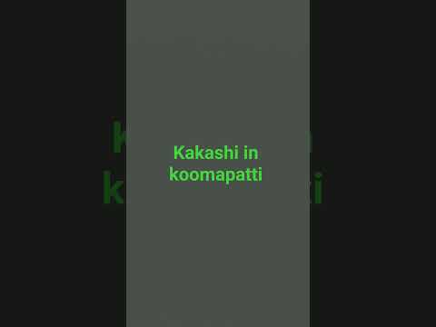Kakashi in koomapatti