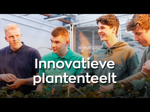 Vorschaubild des Produktvideos
