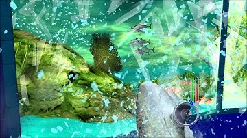 Jaws Unleashed - Part 2 - FT. A BLACK AND WHITE DIVER AND A ORCA WITH OCD!!!