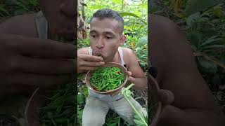 Makan Batang Gadul, Batang Gadul, Makan Batang Besar, Hisap Batang Gadul, Oral Batang Besar,