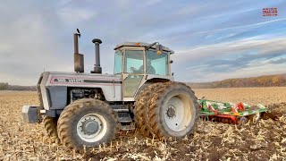 WHITE 185 Tractor Chisel Plowing