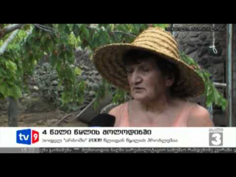 ახალი 3 | 4 წყლის მოლოდინში | 16.06.12