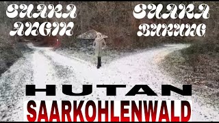 SUARA SUARA ANGIN DI HUTAN SERASA HOROR