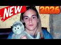 Snapped: Killer Couples 2026 ☠️ Laurie Jean Cone 🆘 Documentary True Crime Podcast