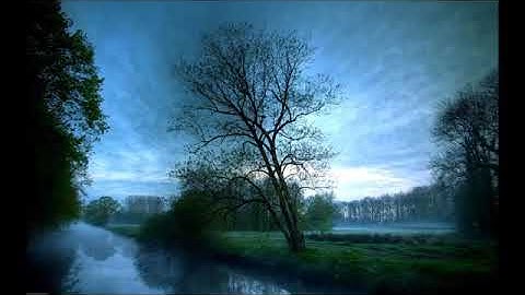 سورة الأنبياء بصوت القارئ عبدالمحسن القاسم