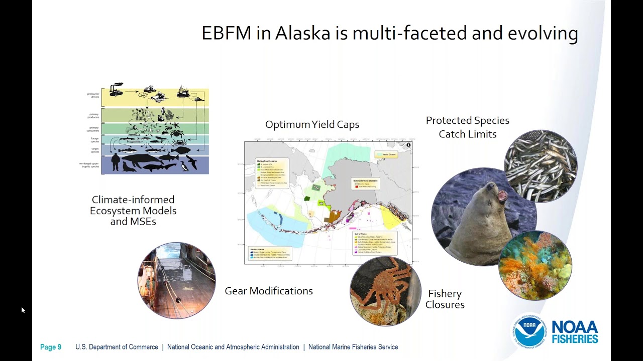 Using EBFM to address climate related impacts to Gulf of Alaska Pacific cod