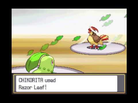 Pokemon HGSS Grass Monotype: Falkner