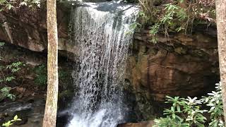 Beautiful Waterfall Near Wolfpen (Tackett Creek, TN) May 2, 2020