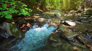 Música Relaxante Flauta Indígena e Sons da Natureza - Acalmar a Mente e Relaxar