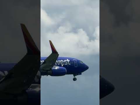 July 2, 2026 @MaddyDaAviationFan @Bird_Aviation @virajaviation