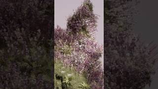 Make Plants Grow Using Geo Nodes in Blender l Tutorial Part 1 #blender #blender3d #blendertutorial
