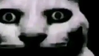 Trt cocuk 1945 purna olayı😈