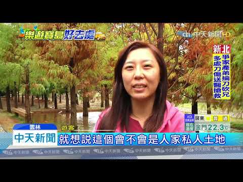 20200104中天新聞　落羽松新秘境！　虎尾工廠內植500棵　美景引人潮