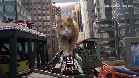 The Cat & the Toaster | Nadia Eghbal