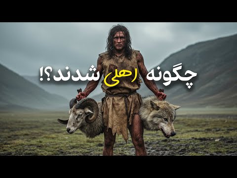 سگ و گوسفند چگونه اهلی شدند 