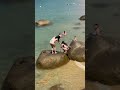 A Great Day at Balneário Beach, Brazil