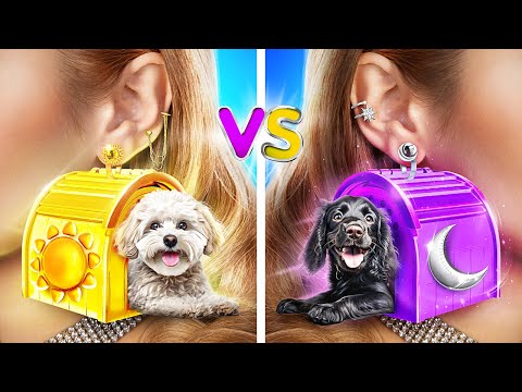 Tantangan Rumah Anjing Satu Warna! Cewek Siang vs Cewek Malam!