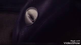 Nala & Toothless ~ Hot N Cold