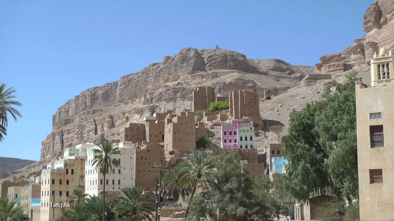 The World Today - THE WAR IN YEMEN