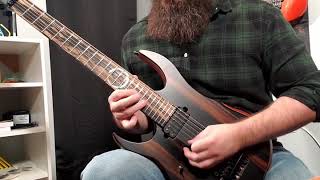 REVOCATION "The Fix" Second Guitar Solo Cover - Ian Waye