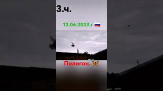 3.ч. Голуби Россия 🇷🇺 12.06.2023.г. Полигон. 🎥🕊️🇷🇺