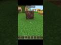 Just Double Click On Soul Sand 💀 #minecraft #minecraftfacts #shorts