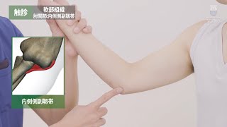 触診可動検査・ソフト徒手矯正法 理学療法士が行う頚椎の身体評価：整形外科徒手検査法 | 脊椎