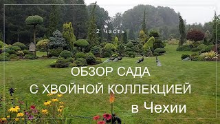 Красивейший сад Miniarboretum u Hoiubů в Чехии. 2 часть. Большая хвойная коллекция и не только...