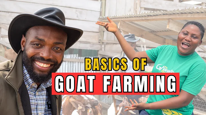 How Many GOATS Do You Need To START A Goat Farming Business?