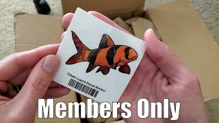 What Did I Order from Aquarium Co-Op? [Members Only]