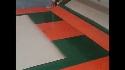 Reel to Sheet Double Colour Flexo Paper Printing Machine