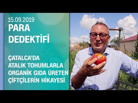 Atalık tohumlarla organik gıda üreten çiftçilerin hikayesi - Para Dedektifi  15.09.2019