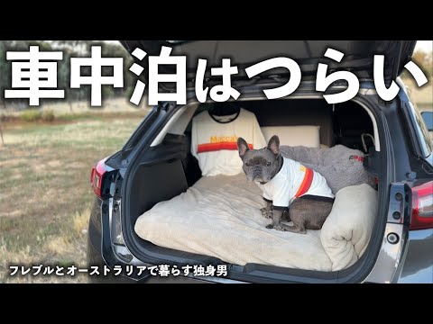 【海外の車中泊】おすすめしない？愛犬と初めての旅で学んだ事