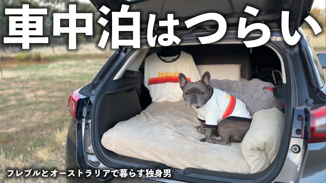 【海外の車中泊】おすすめしない？愛犬と初めての旅で学んだ事