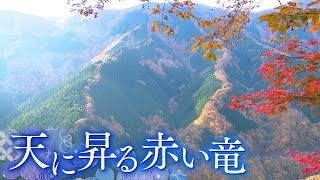 【美景】100年の年月が生み出す“天に昇る赤い竜”　奈良･上北山村のナメゴ谷【Cameraman’sEye】
