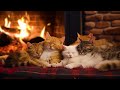 Le ronronnement des chatons endormis sous une chemine chaleureuse  dtendezvous et dormez