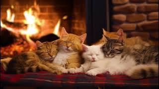 The Purring of Sleeping Kittens under a warm Fireplace 🔥 Relax and Sleep