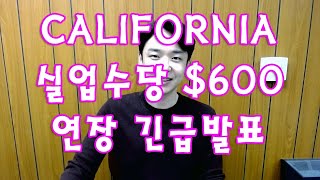 California 실업수당 $600 연장 긴급발표