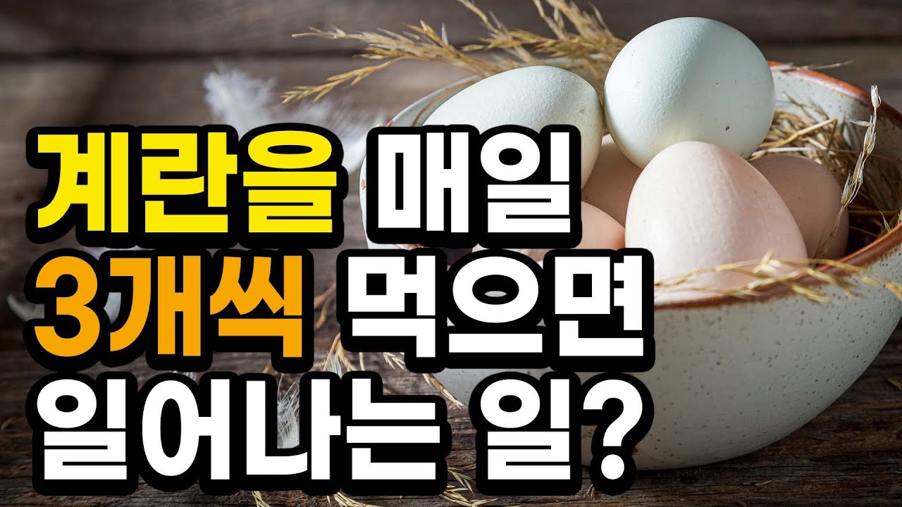 계란을 매일 3개씩 먹으면 어떻게 될까?[달걀, 계란, 달걀 효능, 계란 효능, 달걀 노른자, 계란 부작용, 달걀 부작용, 노른자 많이  먹으면] - Youtube