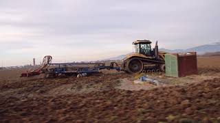 GEANT D 'ALSACE CAT MT 875 C CHALLENGER ecolo - tiger D M I 730 B