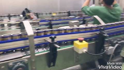 Bird nest filling line