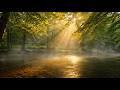 Tranquil Water Ambience & Ambient Music for Meditation, Stress Relief & Balance 🧘🌊🎵