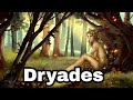 Dryades les nymphes des bois mythologie grecque