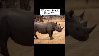 Shocking List of Animals That Went Extinct Recently 🕊️📝