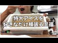 【プチ爆食】大好きなアイスを業務用サイズで好きなだけ食べて幸せチャージ【大食い】