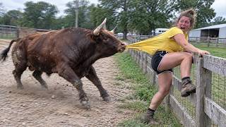 Best Farm Life Fails 🚜🐄 Farm Animal & Tractor Fails
